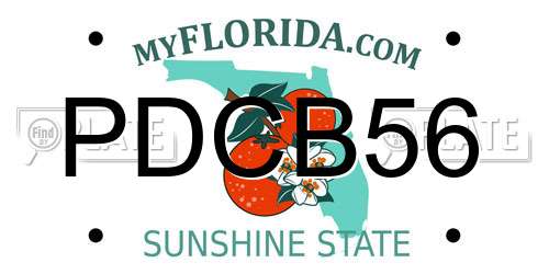 PDCB56 Florida License Plate