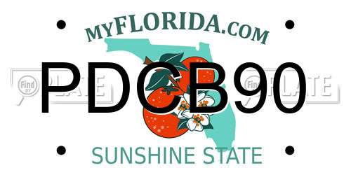 PDCB90 Florida License Plate