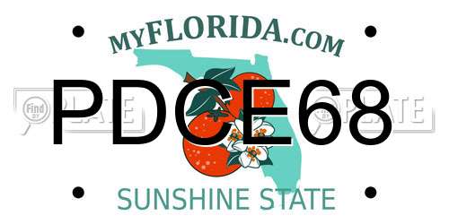 PDCE68 Florida License Plate