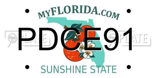 PDCE91 Florida License Plate