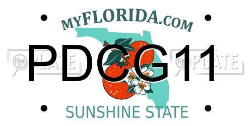 PDCG11 Florida License Plate