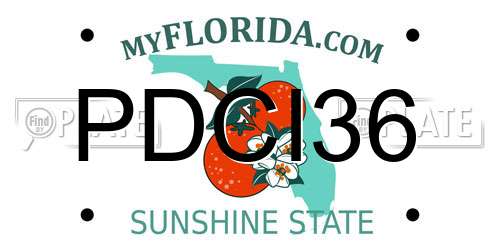 PDCI36 Florida License Plate