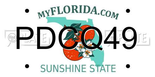 PDCQ49 Florida License Plate