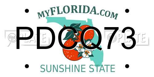 PDCQ73 Florida License Plate