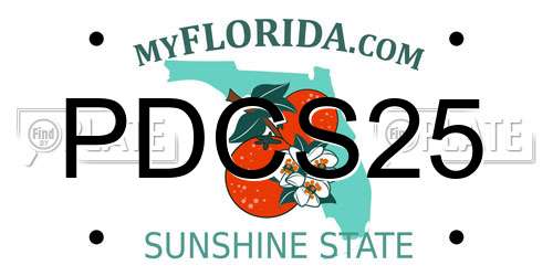 PDCS25 Florida License Plate