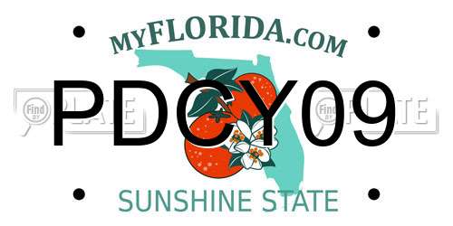 PDCY09 Florida License Plate