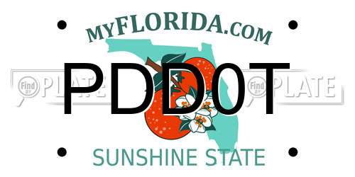 PDD0T Florida License Plate