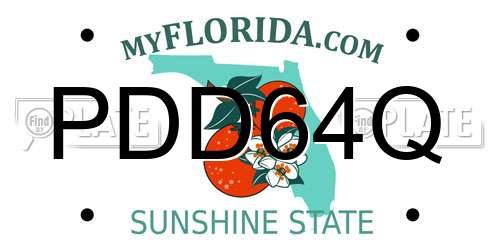 PDD64Q Florida License Plate