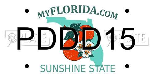 PDDD15 Florida License Plate