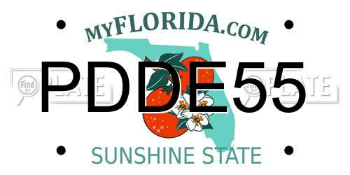 PDDE55 Florida License Plate