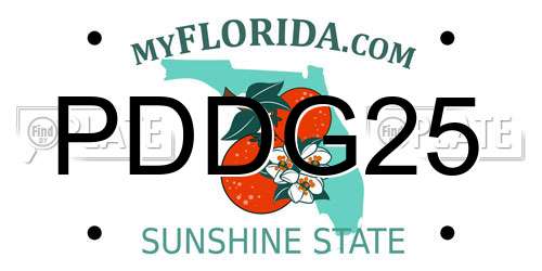 PDDG25 Florida License Plate