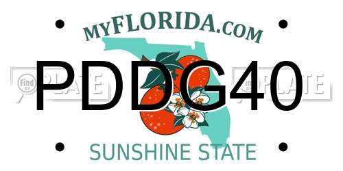 PDDG40 Florida License Plate