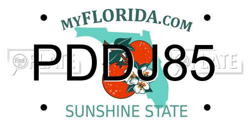 PDDJ85 Florida License Plate