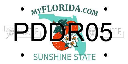 PDDR05 Florida License Plate