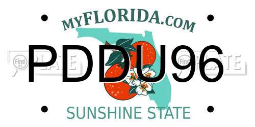 PDDU96 Florida License Plate