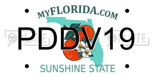 PDDV19 Florida License Plate