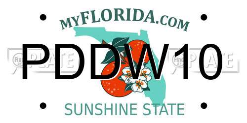 PDDW10 Florida License Plate