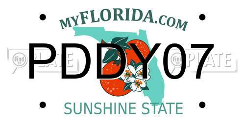 PDDY07 Florida License Plate
