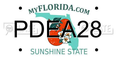 PDEA28 Florida License Plate