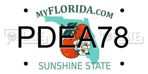 PDEA78 Florida License Plate