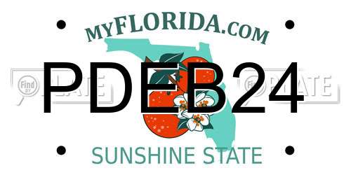 PDEB24 Florida License Plate