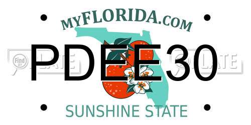 PDEE30 Florida License Plate