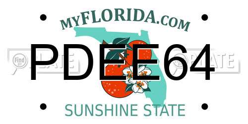 PDEE64 Florida License Plate