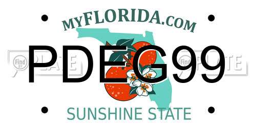 PDEG99 Florida License Plate