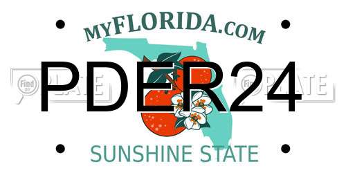 PDER24 Florida License Plate