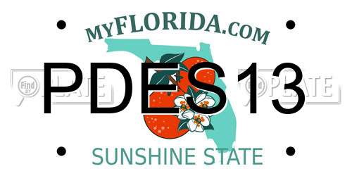 PDES13 Florida License Plate
