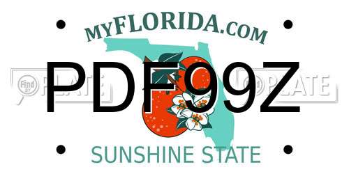 PDF99Z Florida License Plate