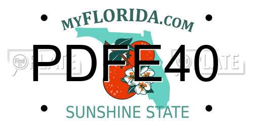PDFE40 Florida License Plate