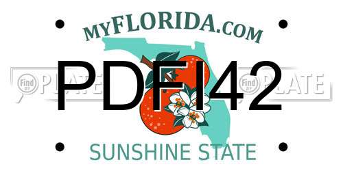 PDFI42 Florida License Plate