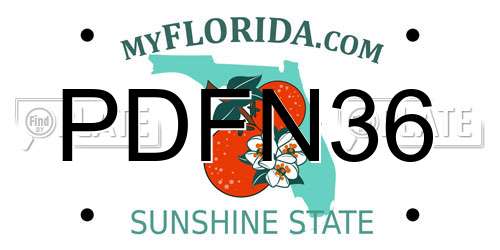 PDFN36 Florida License Plate