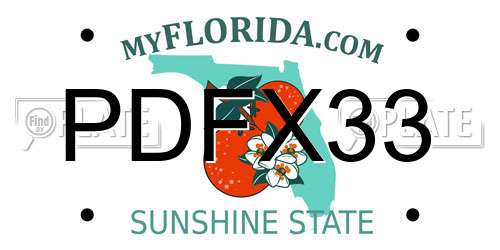 PDFX33 Florida License Plate