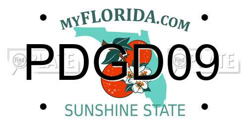 PDGD09 Florida License Plate