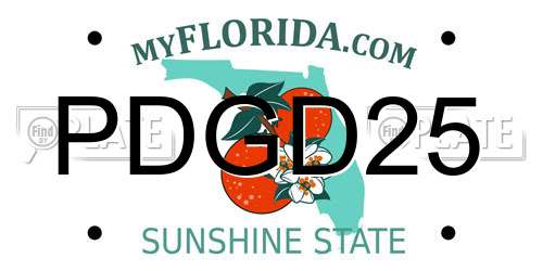 PDGD25 Florida License Plate