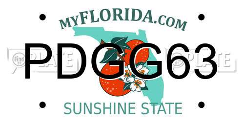 PDGG63 Florida License Plate