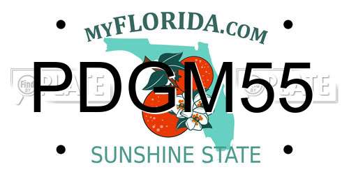 PDGM55 Florida License Plate