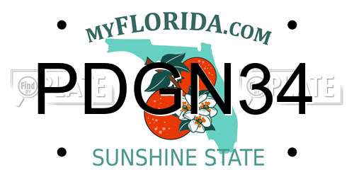 PDGN34 Florida License Plate