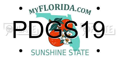 PDGS19 Florida License Plate