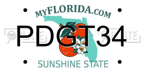 PDGT34 Florida License Plate