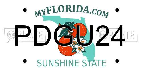 PDGU24 Florida License Plate