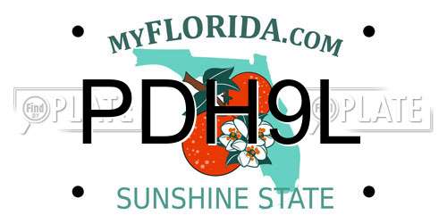 PDH9L Florida License Plate