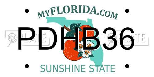 PDHB36 Florida License Plate