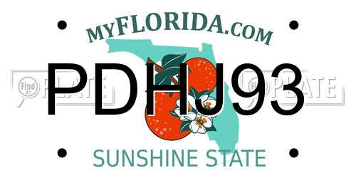 PDHJ93 Florida License Plate