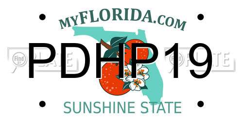 PDHP19 Florida License Plate