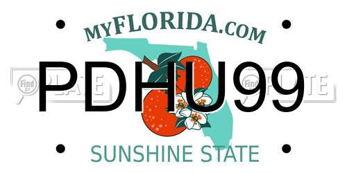 PDHU99 Florida License Plate