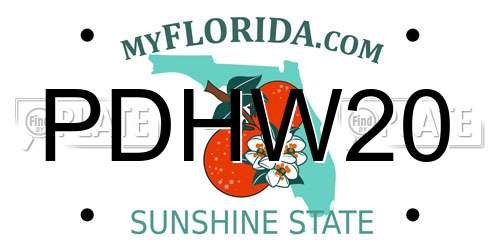PDHW20 Florida License Plate