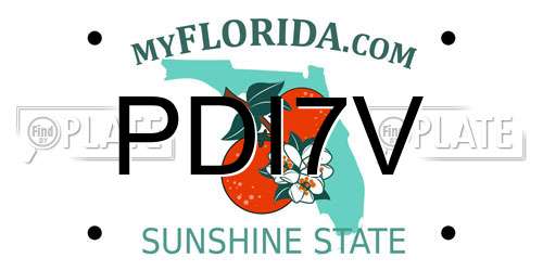 PDI7V Florida License Plate